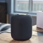 Casse portatili Apple HomePod e Google Home